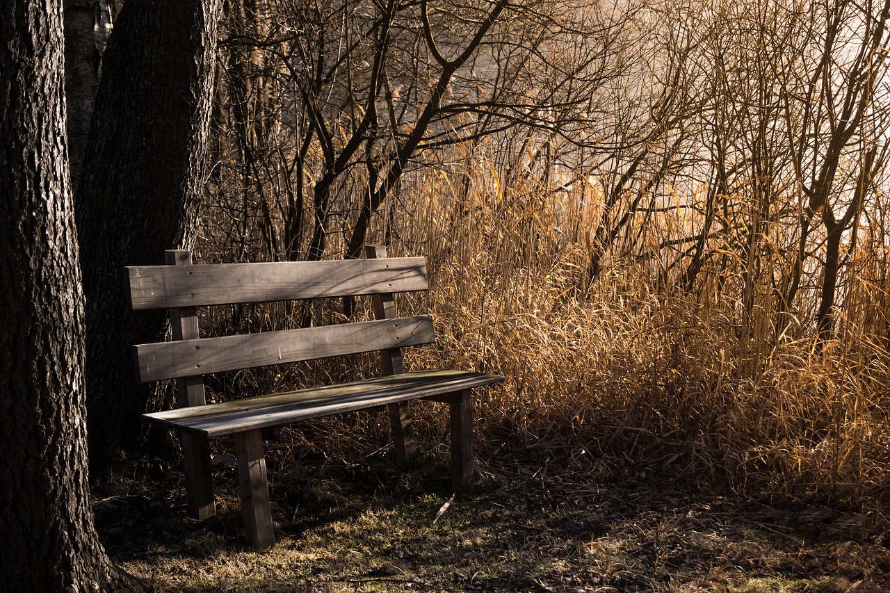 Construire un banc de jardin