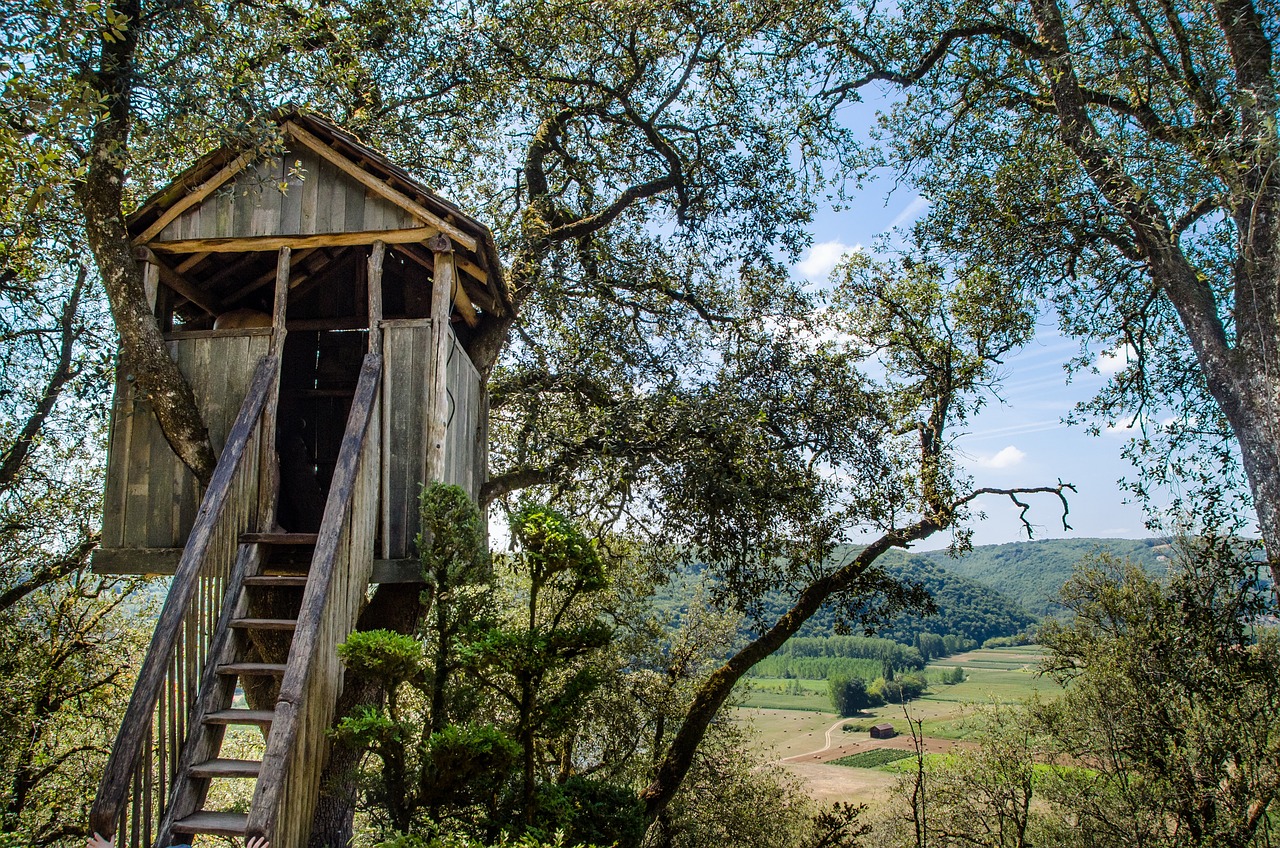 Construire une cabane